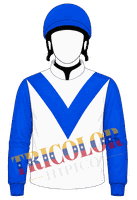 Chaquetilla Castillos y Reyes