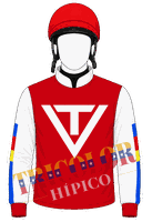 Chaquetilla Transformers-Rosa Mística