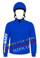 Chaquetilla Marv