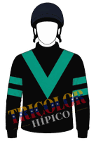Chaquetilla Z Affair