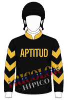 Chaquetilla Aptitud