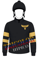 Chaquetilla Morichal