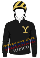 Chaquetilla Yellowstone